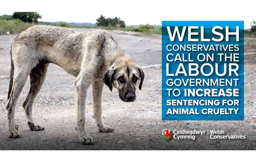 animal cruelty sentencing