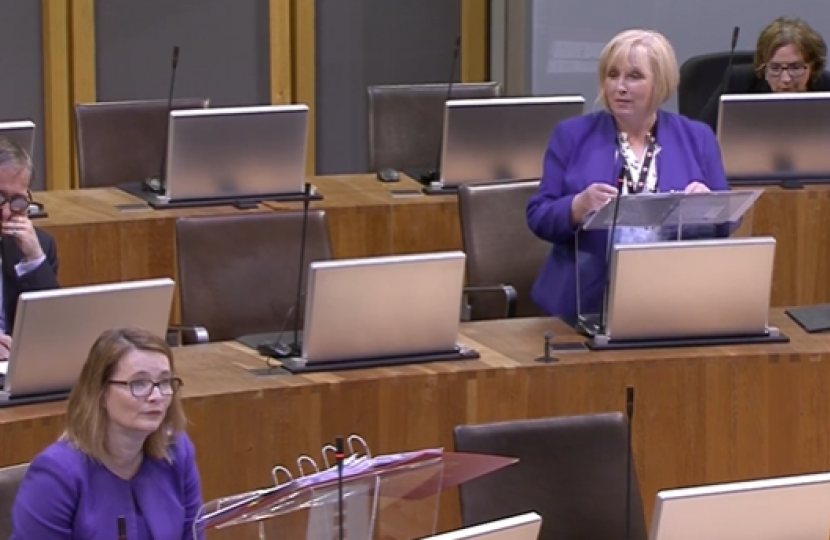 Suzy Davies talking in the chamber with Kirsty Williams in view.