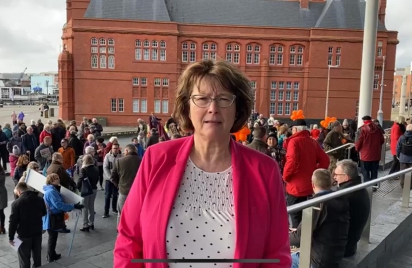 Angela Burns AM/AC speaking at the protest at The Senedd.