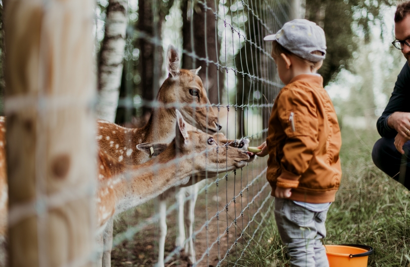 Covid-19 Welsh Zoos Support Fund