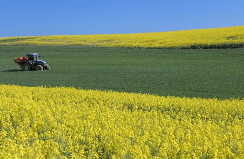 A farmer alone in a field.